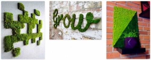 Зеленая стена из мха. Что это