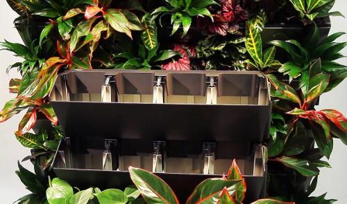 Вертикальное озеленение своими руками. Вертикальное озеленение: основные методы, высаживание растений и система полива (85 фото)