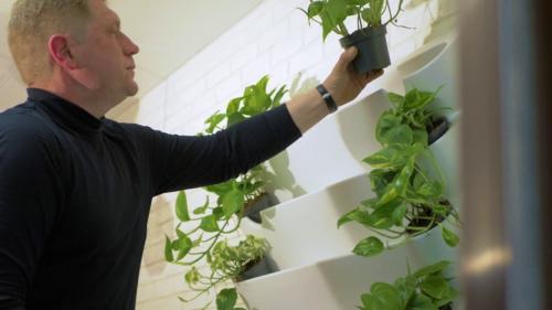 Вертикальное озеленение своими руками. Вертикальное озеленение: основные методы, высаживание растений и система полива (85 фото)