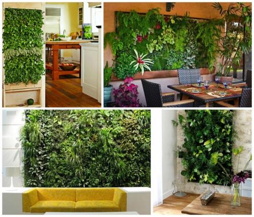 Зеленая стена из растений. Вертикальные клумбы