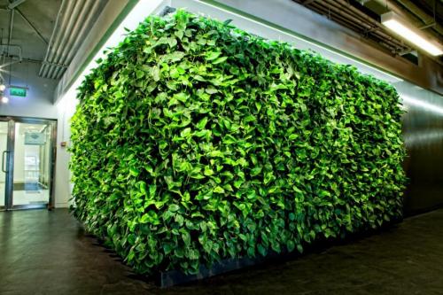 Как сделать вертикальное озеленение своими руками. Вертикальное озеленение: основные методы, высаживание растений и система полива (85 фото)