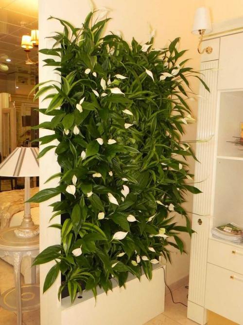 Вертикальное озеленение в интерьере — декоративные методы и лучшие дизайн проекты современности (120 фото)