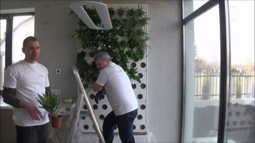 Как сделать вертикальное озеленение своими руками. Вертикальное озеленение: основные методы, высаживание растений и система полива (85 фото)