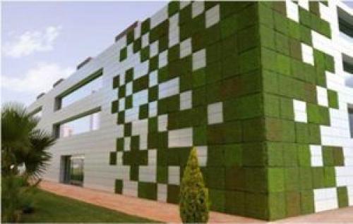 Вертикальное озеленение фасада. Виды вертикального озеленения