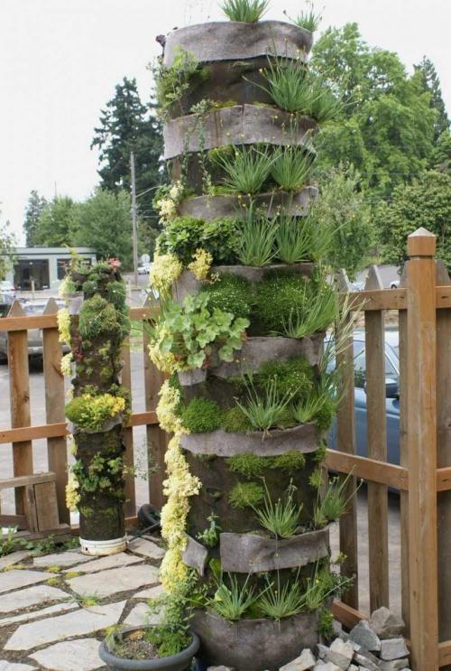 Вертикальное озеленение в интерьере — декоративные методы и лучшие дизайн проекты современности (120 фото)