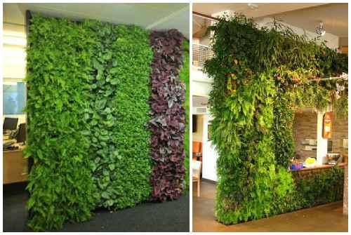 Фитостена своими руками в квартире. Фитостена и фитомодуль своими руками: особенности современного эко-дизайна