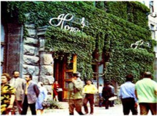 Вертикальное озеленение фасада. Виды вертикального озеленения