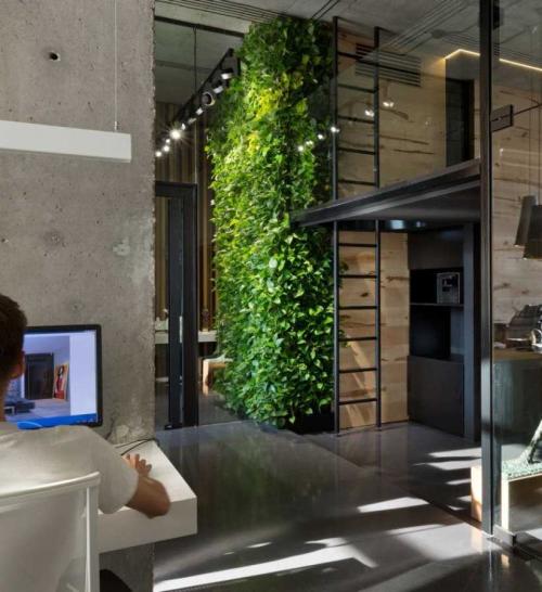Вертикальное озеленение в интерьере — декоративные методы и лучшие дизайн проекты современности (120 фото)