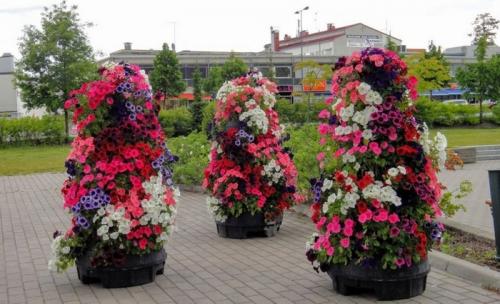 Вертикальное озеленение в саду своими руками. Что такое вертикальные клумбы, как их устроить (80 фото). Подбор цветов и примеры дизайна