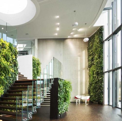 Вертикальное озеленение в интерьере — декоративные методы и лучшие дизайн проекты современности (120 фото)