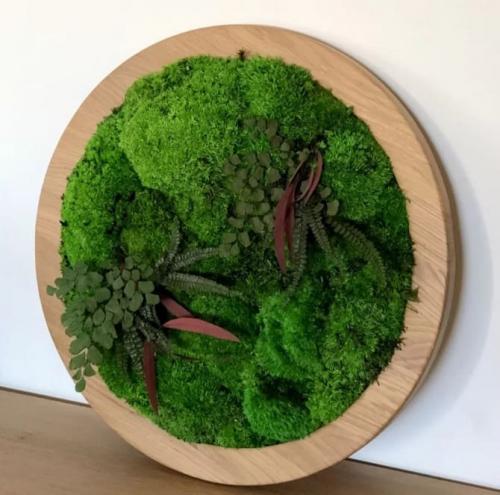 Панно из мха своими руками. Как сделать картину из мха своими руками: 3 простых идеи (+бонус-видео)