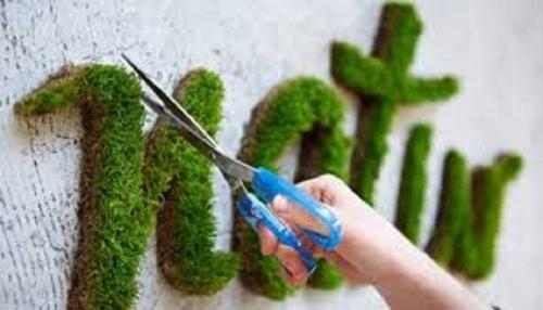 Панно из мха своими руками. Как сделать картину из мха своими руками: 3 простых идеи (+бонус-видео)