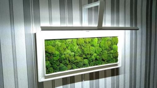 Панно из мха своими руками. Как сделать картину из мха своими руками: 3 простых идеи (+бонус-видео)