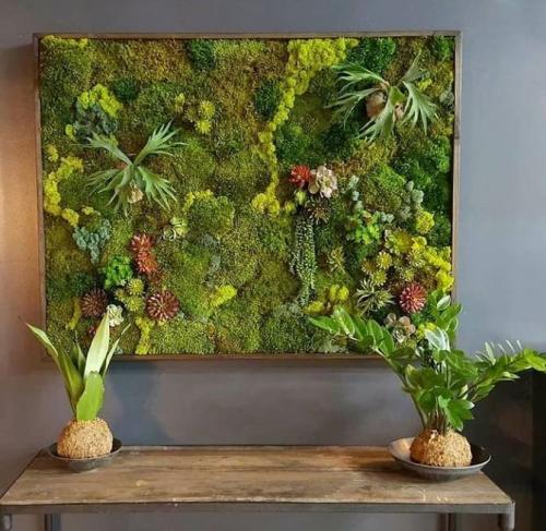 Панно из мха своими руками. Как сделать картину из мха своими руками: 3 простых идеи (+бонус-видео)