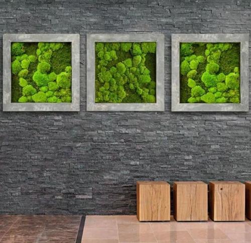 Панно из мха своими руками. Как сделать картину из мха своими руками: 3 простых идеи (+бонус-видео)