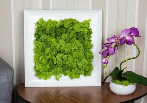 Панно из мха своими руками. Как сделать картину из мха своими руками: 3 простых идеи (+бонус-видео)