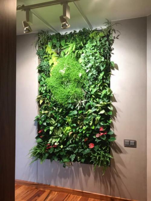 Вертикальное озеленение своими руками за 5 простых шагов. Методы вертикального озеленения 07 Вертикальное озеленение своими руками за 5 простых шагов. Методы вертикального озеленения 07