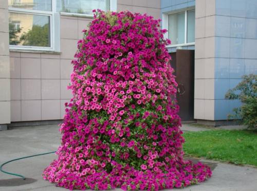 Вертикальное озеленение в саду своими руками. Что такое вертикальные клумбы, как их устроить (80 фото). Подбор цветов и примеры дизайна