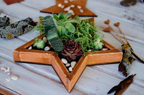 Композиции из суккулентов для начинающих. Идеи для дизайна интерьера