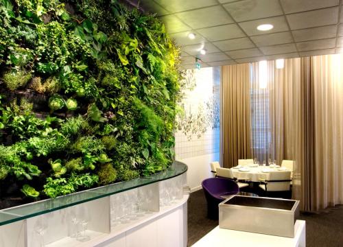 Как сделать вертикальный сад. Вертикальное озеленение сада. Как сделать вертикальный сад (фитостены и фитомодули) своими руками? Технологии 03 Как сделать вертикальный сад. Вертикальное озеленение сада. Как сделать вертикальный сад (фитостены и фитомодули) своими руками? Технологии 03