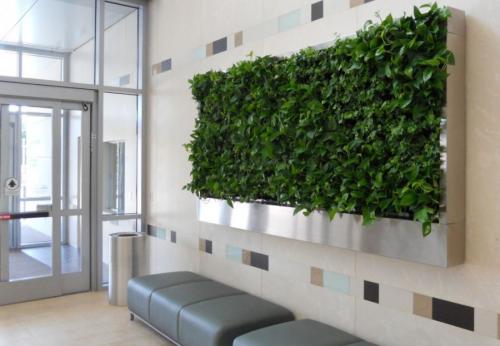 Как сделать вертикальное озеленение своими руками. Вертикальное озеленение: основные методы, высаживание растений и система полива (85 фото)