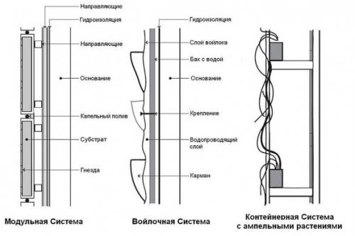 Зеленая стена в квартире. Вертикальные клумбы
