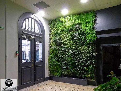 Зеленая стена дома. Преимущества зеленых стен