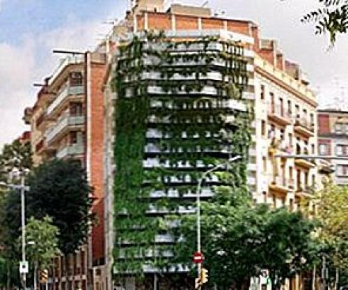 Зеленая стена дома. Преимущества зеленых стен