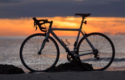 Лучший цветочный декор для вашей дачи. Оригинальные клумбы и цветники своими руками 21