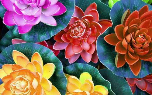 Панно из цветов своими руками. Цветочное панно