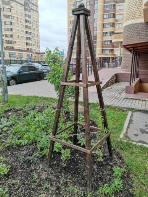 20 оригинальных опор для вьющихся растений. Самодельные шпалеры для лиановидных культур 17 20 оригинальных опор для вьющихся растений. Самодельные шпалеры для лиановидных культур 17