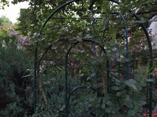 20 оригинальных опор для вьющихся растений. Самодельные шпалеры для лиановидных культур