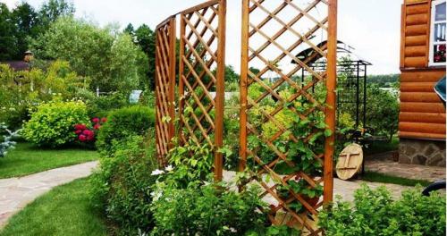 20 оригинальных опор для вьющихся растений. Самодельные шпалеры для лиановидных культур