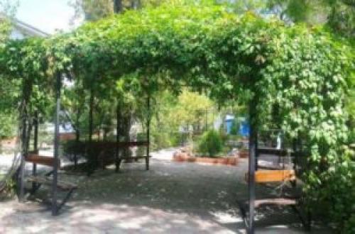 Выбор винограда для беседки. Беседка из винограда, особенности конструкции 13 Выбор винограда для беседки. Беседка из винограда, особенности конструкции 13