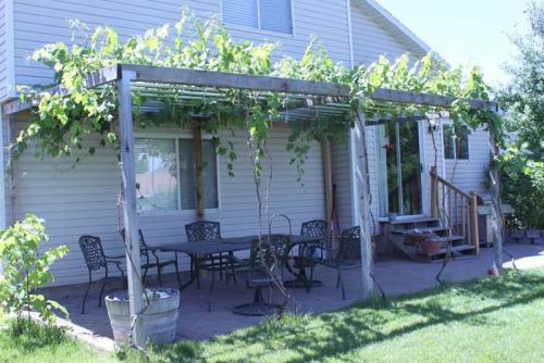 Выбор винограда для беседки. Беседка из винограда, особенности конструкции