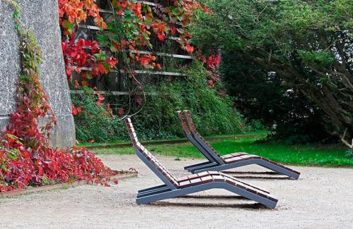 Цветы которые плетутся по сетке. Вьющиеся растения для сада — названия популярных видов, примеры оформления