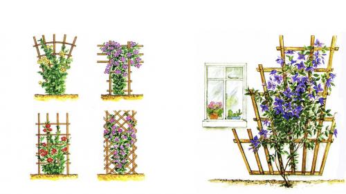 Кустодержатели для роз своими руками. Как сделать опору для клематиса своими руками, пошагово мастер класс