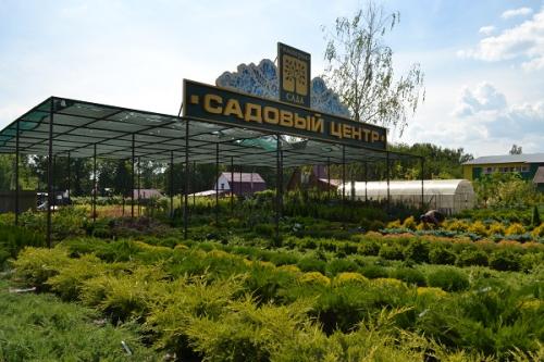 Вьющиеся растения на даче. Популярные виды 06 Вьющиеся растения на даче. Популярные виды 06