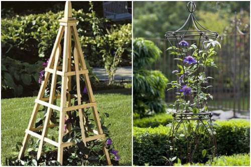 Опора для клематиса своими руками: правила выбора и виды конструкции