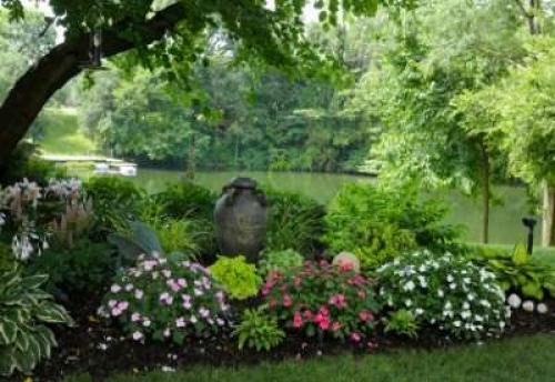 Теневыносливые кустарники для сада.  Роскошь видовых рододендронов 02