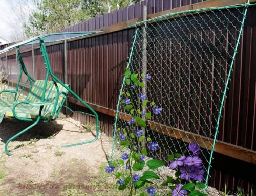 Какая опора нужна клематисам. На чем остановить свой выбор 10 Какая опора нужна клематисам. На чем остановить свой выбор 10