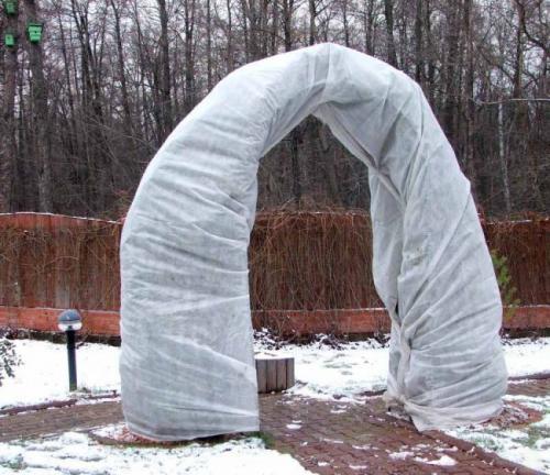 Вьющиеся розы, как украшение вашего сада. Укрытие на зиму