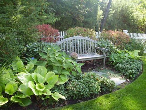 Кустарники цветущие все лето в тени. Что посадить в тенистом месте или какие растения относятся к теневыносливым