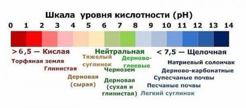 Шпалера для малины из дерева. Выращивание малины на шпалере