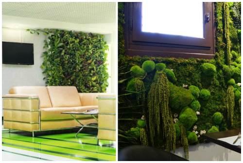 Фитостена своими руками в квартире. Фитостена и фитомодуль своими руками: особенности современного эко-дизайна