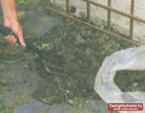 Плетистая роза у дома. Посадка плетистых роз рядом со стеной 03 Плетистая роза у дома. Посадка плетистых роз рядом со стеной 03