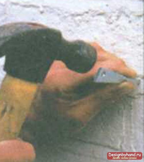 Плетистая роза у дома. Посадка плетистых роз рядом со стеной 14 Плетистая роза у дома. Посадка плетистых роз рядом со стеной 14