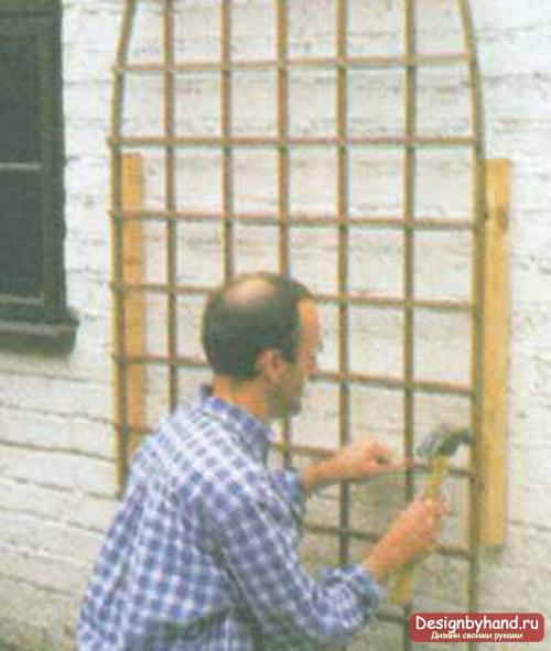 Плетистая роза у дома. Посадка плетистых роз рядом со стеной 02 Плетистая роза у дома. Посадка плетистых роз рядом со стеной 02