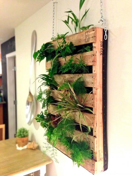 Как сделать живую стену в жилом помещении. Вертикальные клумбы