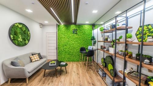 Вертикальное озеленение в квартире с использованием мха. Самодельные приспособления 07 Вертикальное озеленение в квартире с использованием мха. Самодельные приспособления 07